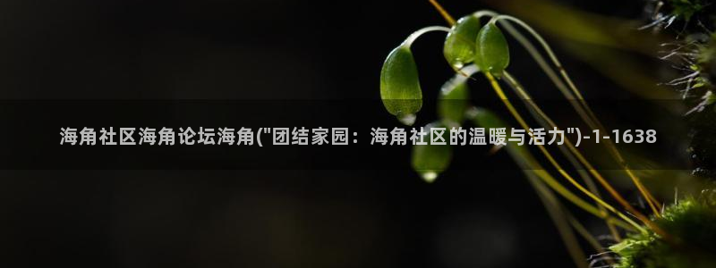 海角社区c：海角社区海角论坛海角(\