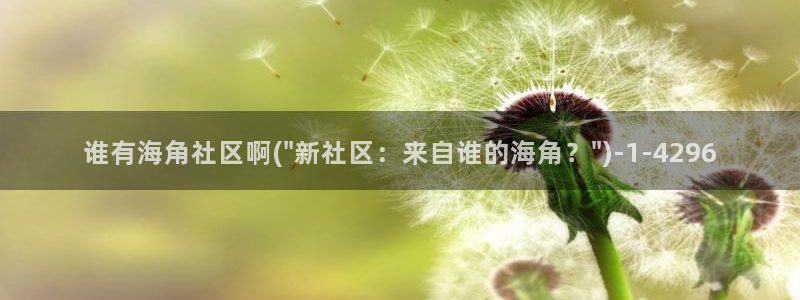 海角社区的邮箱格式：谁有海角社区啊(\