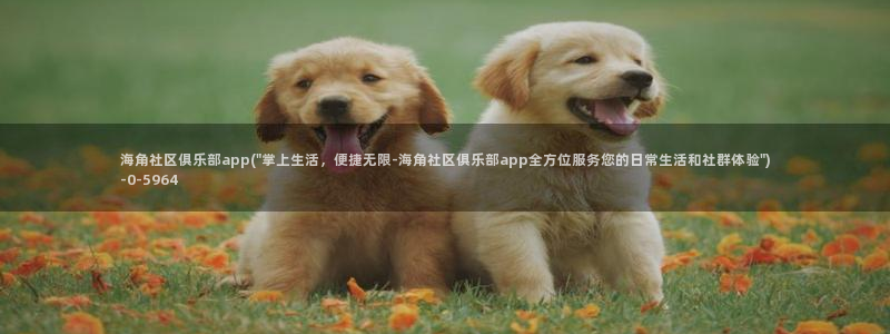 像海角社区还有那些论坛：海角社区俱乐部app(\