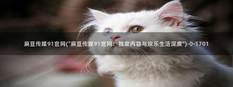 麻豆 精选：麻豆传媒91官网(\