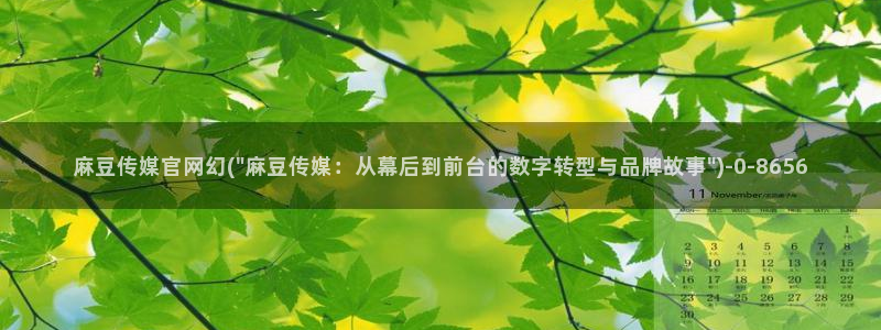 麻豆视频推荐整理：麻豆传媒官网幻(\