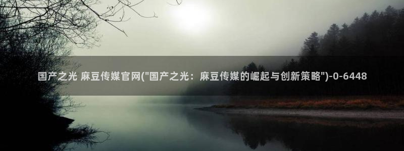 麻豆视频 官方高清：国产之光 麻豆传媒官网(\