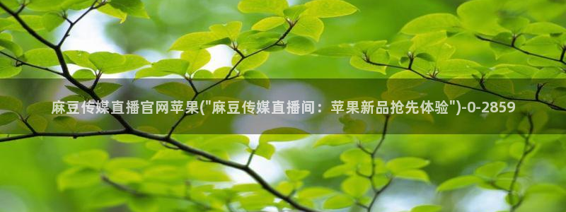 麻豆最新更新：麻豆传媒直播官网苹果(\