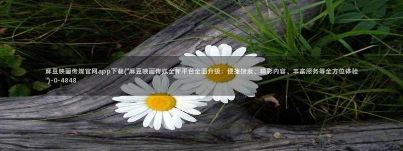 麻豆视频 完整版下载：麻豆映画传媒官网app下载(\
