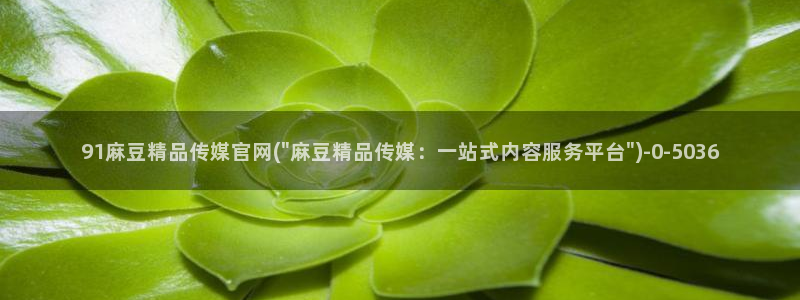 麻豆视频资源导航：91麻豆精品传媒官网(\