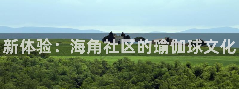 海角社区狗头：新体验：海角社区的瑜伽球文化