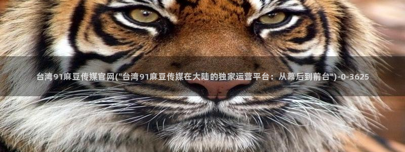 麻豆视频站合集