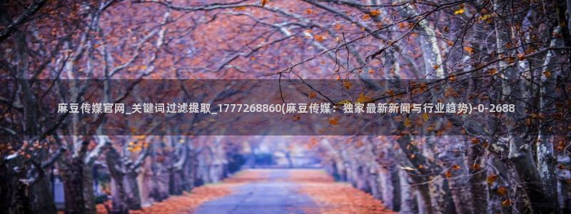 麻豆视频下载导航