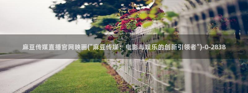 麻豆视频专区