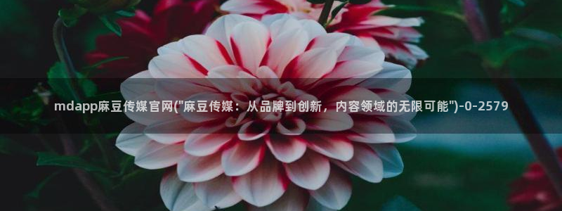 麻豆 官方合集