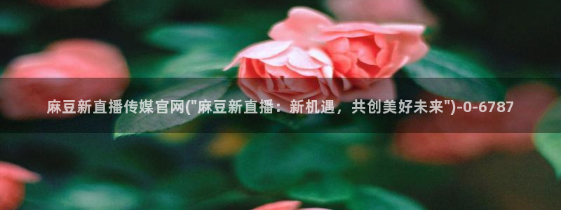 麻豆 官方页面
