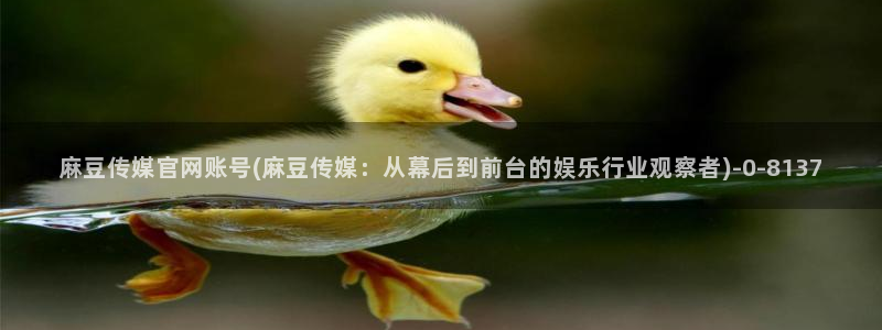 麻豆 完整版专区