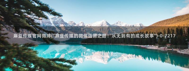麻豆视频 站合集：麻豆传媒官网微博(\