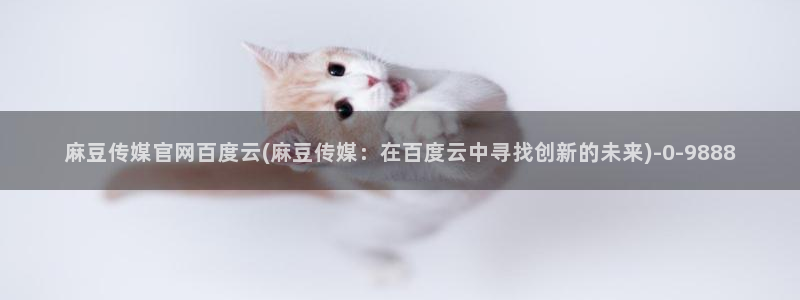 麻豆视频更新导航：麻豆传媒官网百度云(麻豆传媒：
