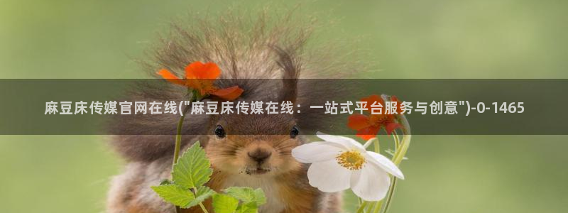 麻豆视频官方整理