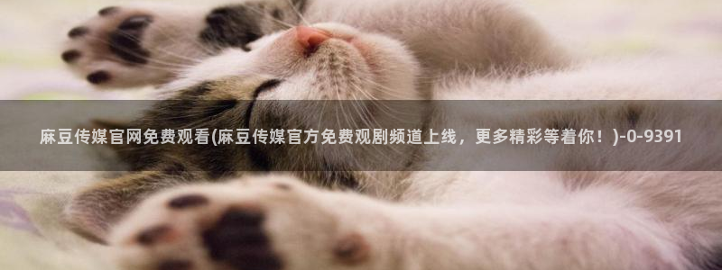 麻豆视频 合集：麻豆传媒官网免费观看(麻豆传媒官方免费观