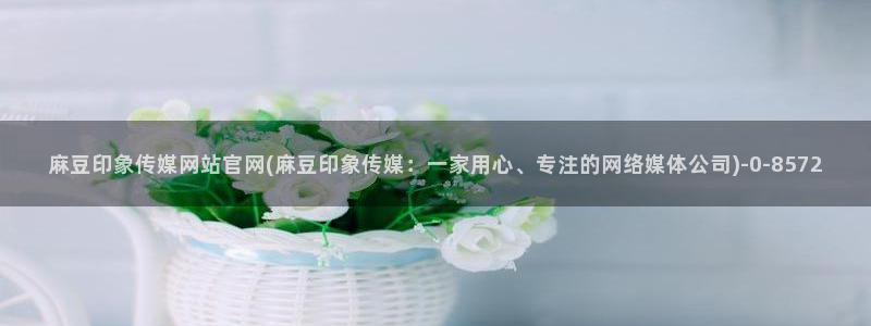 麻豆视频高清专区：麻豆印象传媒网站官网(麻豆印象传媒：一