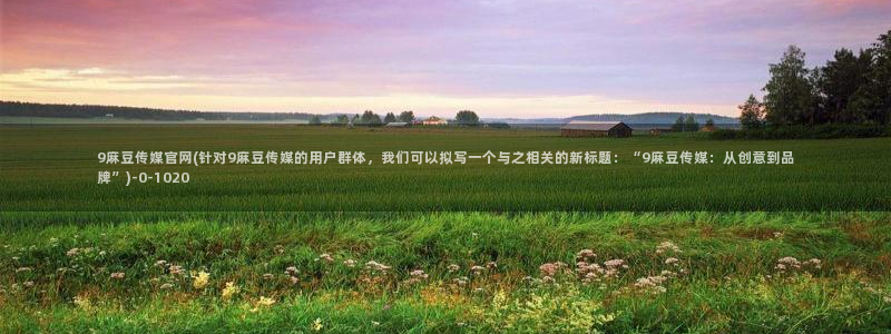 麻豆视频 短片页面