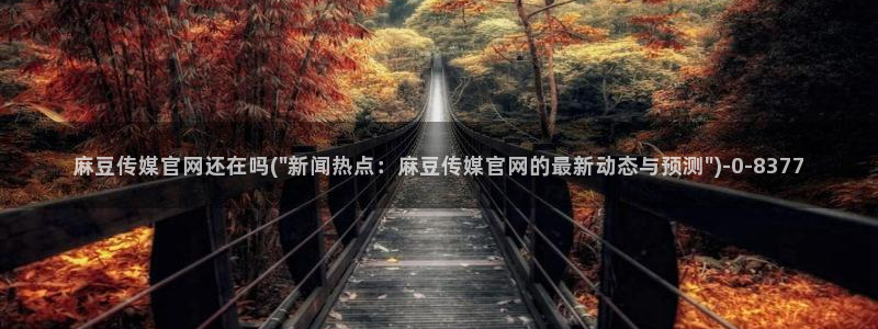 麻豆高清专区：麻豆传媒官网还在吗(\