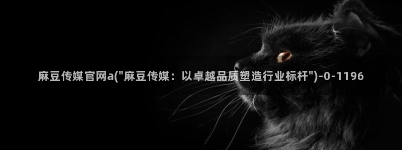 麻豆视频入口视频