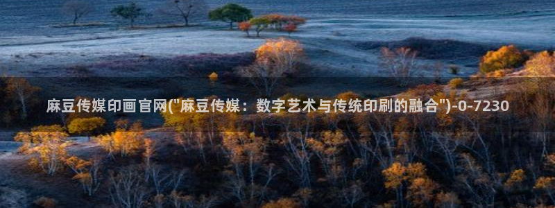 麻豆视频 短片合集
