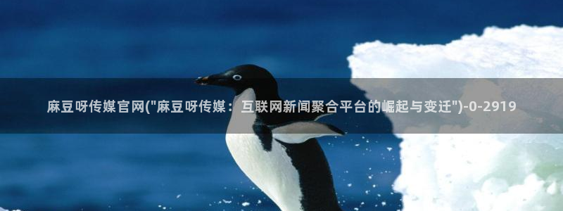 麻豆视频 合集最新
