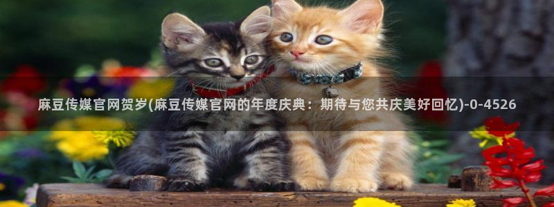 麻豆完整版高清：麻豆传媒官网贺岁(麻豆传媒官网的年度庆典：期待与您共庆美好回忆)