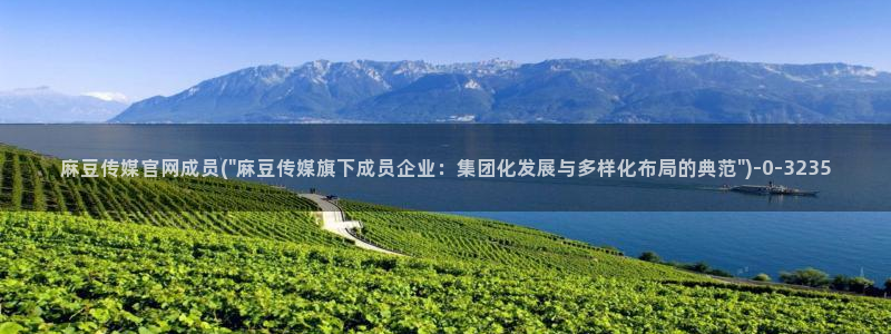 麻豆官方完整版：麻豆传媒官网成员(\