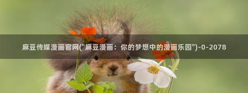 麻豆视频 完整版完整版
